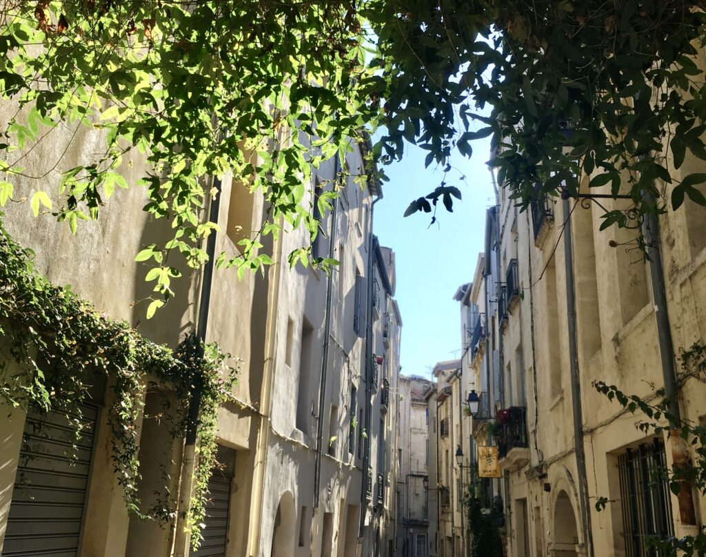 Beauté Solaire