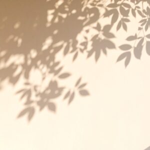 Beauté Solaire
