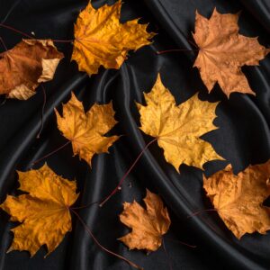 L’élégance noire : l’esthétique gothique de l’automne 🖤